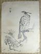 Woodblock Print / Set Of 5 Birds / Japanese / Antique Prints photo 3
