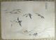 Woodblock Print / Set Of 5 Birds / Japanese / Antique Prints photo 7