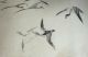 Woodblock Print / Set Of 5 Birds / Japanese / Antique Prints photo 8