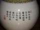 Very Good Chinese Porcelain Vase Quialong ? Marked Signed With 2 Birds Perfect Vases photo 2