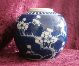 Good Antique Chinese Prunus Blossom Porcelain Jar - photo