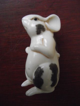 Antique Signed Netsuke Of Mouse Or Rat. photo