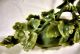 Stunning Early C20th Chinese Jade Carving - Song Birds On A Melon Jade/ Hardstone photo 9
