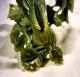 Stunning Early C20th Chinese Jade Carving - Song Birds On A Melon Jade/ Hardstone photo 6