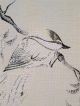 Vintage Japanese Embroidered Silk Scroll Peacocks Blue Birds Paintings & Scrolls photo 3