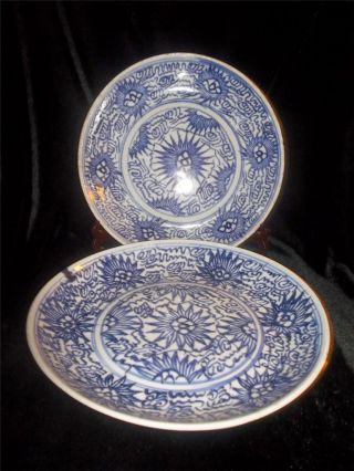 Pair Of 18 - 19th C Chinese Export Porcelain Blue And White Plates photo