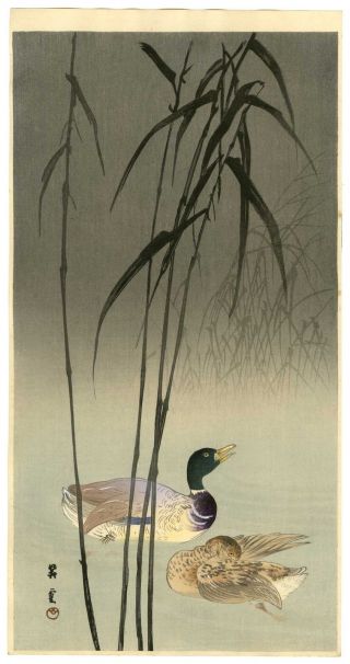 Shoun Japanese Woodblock Print Ducks In Reeds 1920s photo