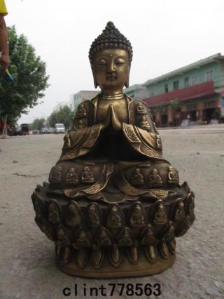 Tibet Folk Temple Brass Sit Amitayus Sakyamuni Buddha 240 photo