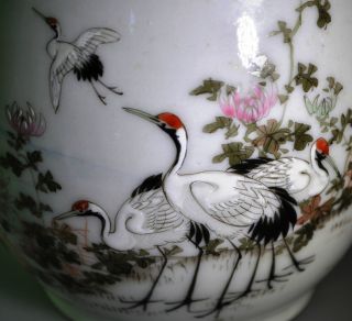 19 Century Meiji Period Antique Japanese Painted Cranes Porcelain Teapot Signed photo