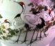 19 Century Meiji Period Antique Japanese Painted Cranes Porcelain Teapot Signed Teapots photo 6