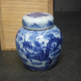 F215: Chinese Blue - And - White Porcelain Ware Tasty Small Tea Caddy With Box photo