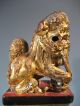 Pair China Chinese Carved Gilded & Lacquer Wood Foo Lions On Stands 20th C. Foo Dogs photo 5