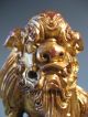 Pair China Chinese Carved Gilded & Lacquer Wood Foo Lions On Stands 20th C. Foo Dogs photo 7