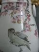 An Extremely Fine Late Qing Dynasty Qianjiang Porcelain Vase,  Signed & Dated Vases photo 9