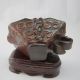 Old Antiques Chinese 100% Ox Horn Hand Carved Cup Nr/nc1091 Other photo 5