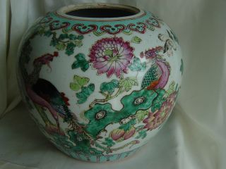 18th Large Chinese Export Porcelain Familie Verte Vase - Two Paradise Birds photo