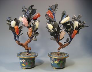 Pair Of China Chinese Hardstone Plants Set In Cloisonne Planters Ca.  20th C. photo