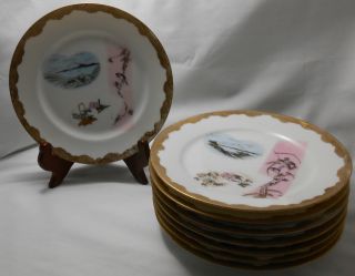 8 Lovely Japanese Nippon Signed Plates With Birds,  Mt Fuji And Floral Handpainted photo