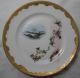 8 Lovely Japanese Nippon Signed Plates With Birds,  Mt Fuji And Floral Handpainted Plates photo 2