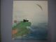 Japanese Drawing Cormorant On The Coast By Yoshiya Matsumoto Shikishi Paintings & Scrolls photo 2