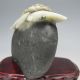 100% Natural Chinese Dushan Jade Hand - Carved Statue - - Scorpion Nr/pc1946 Other photo 3