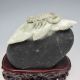 100% Natural Chinese Dushan Jade Hand - Carved Statue - - Scorpion Nr/pc1946 Other photo 4