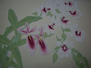 Old Japanese Woodblock Prints Botanical Flowers Tsunate Mifune 3 photo