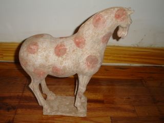 Chinese Tang Dynasty [ 618 - 906 ] Painted Horse photo