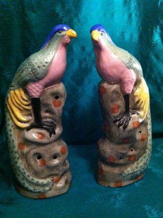 Antique Pair Chinese China Export Porcelain Bird Figures Statues - Parrots - 13 