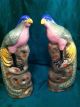 Antique Pair Chinese China Export Porcelain Bird Figures Statues - Parrots - 13 