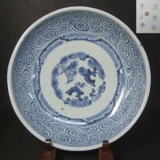 F226: Real Japanese Old Imari Blue - And - White Big Plate With Great Tako - Karakusa photo