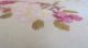 Antique Chinese Watercolor On Silk Ink And Color Painting/ Birds In A Tree Paintings & Scrolls photo 6