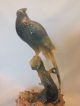 A Good Large Jade Statue Of 2 Exotic Birds On A Hardwood Stand 19thc Jade/ Hardstone photo 1