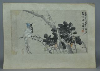 A Painting From Chinese Famous Artist Zhucheng Qing Dynasty photo