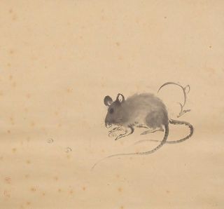 5972 Japanese Hanging Scroll: Pair Of Mice photo