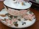 Chinese Hand Painted Porcelain Cup And Saucer Glasses & Cups photo 3