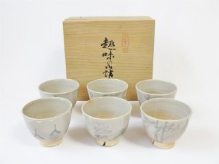 Japanese Hagi Ware Tea Cup 6set W/box/ Tasteful Drawing/ Various Plants/ 556 photo
