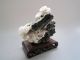 Chinese Dushan Jade Carved Chrysanthemum Quail Statue Other photo 1