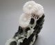 Chinese Dushan Jade Carved Chrysanthemum Quail Statue Other photo 7