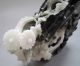 Chinese Dushan Jade Carved Chrysanthemum Quail Statue Other photo 8