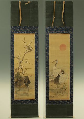 Japanese Hanging Scrolls : Yokoyama Seiki 