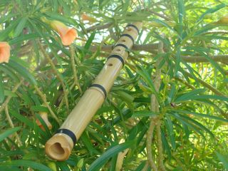 Shakuhachi Japanese Bamboo Flute 1.  8 D, . photo