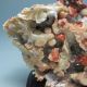 100% Natural Shoushan Stone Hand - Carved Statues - - Goldfish Nr/xy1800 Other photo 2