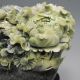 100% Natural Dushan Jade Hand - Carved Statue - - - Cabbage & Plum Nr/xy1973 Other photo 1