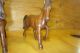 Burma Black Teak Wood Carved Horses - Gorgeous Other photo 2