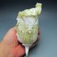 100% Natural Lantian Jade Hand - Carved Statue - - - Cabbage W Mantis Nr/xy1352 Other photo 3