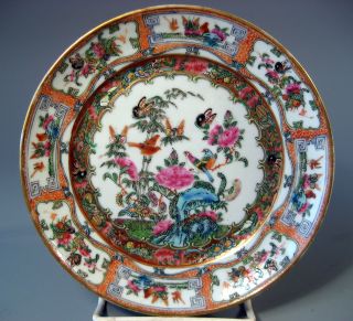 China Chinese Rose Medallion Porcelain Plate Avian & Flower Decor Ca.  19th C. photo