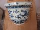 Rare Vintage Blue And White Porcelain Dragon Pot Good Luck For Years Dragon Pots photo 6