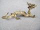 Copper Shining Dragon Chinese Old Ancient Dragons photo 8