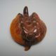 19th Century Hand - Carved Longevity Turtle Horseshoe Nr Amulets photo 2